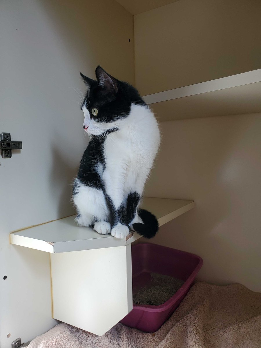 Ellen Titus tweet media