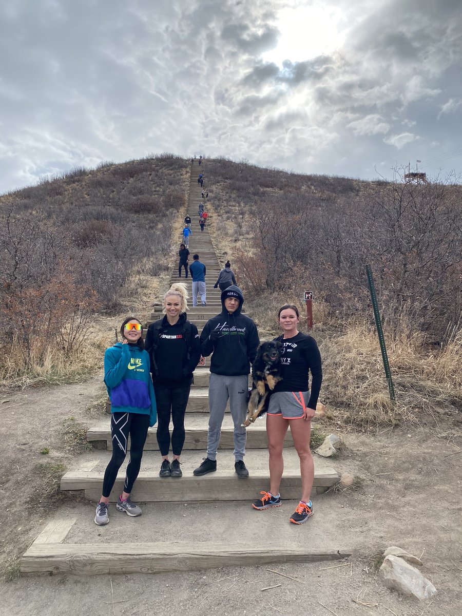 celine haga tweet media