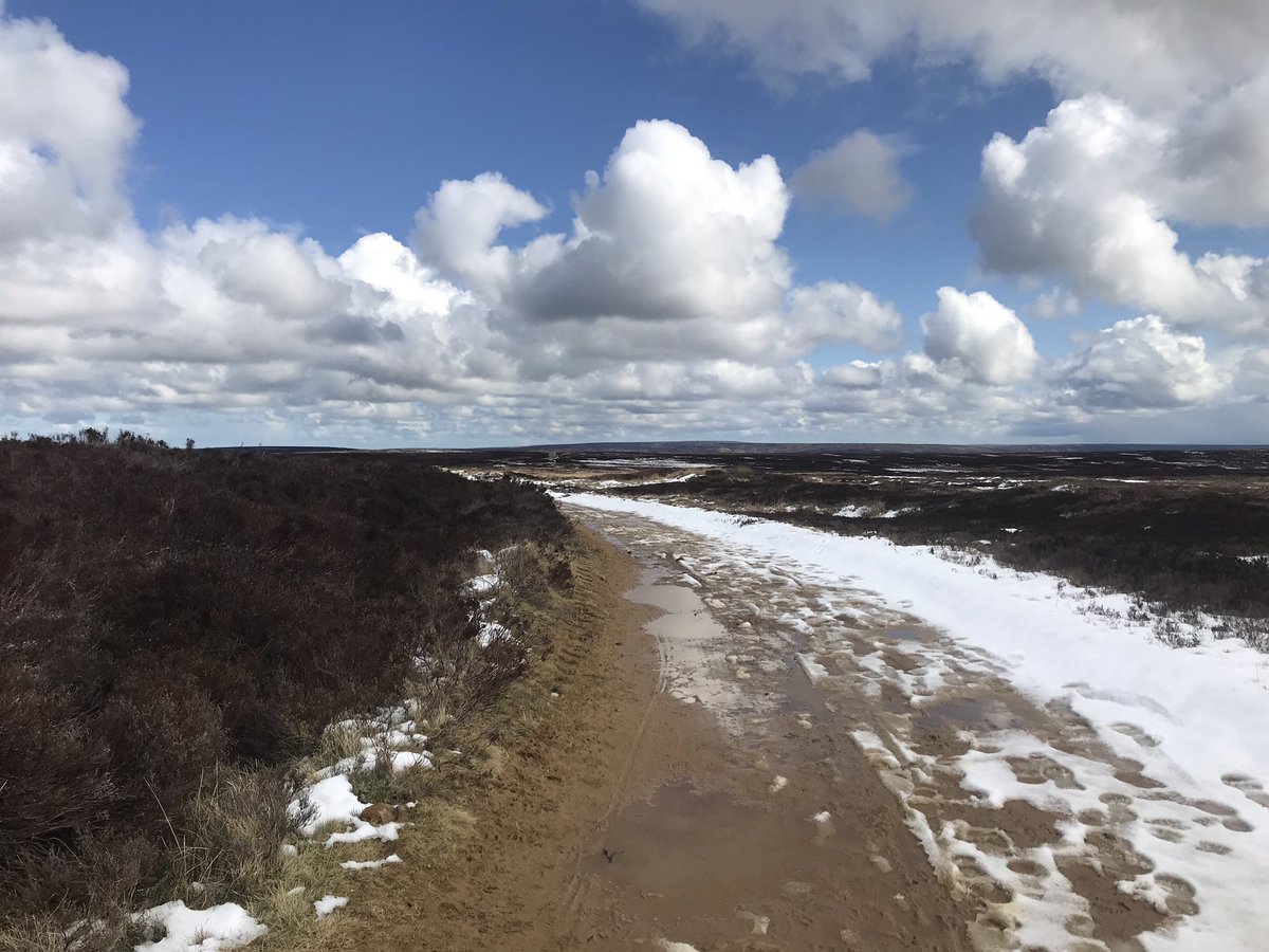 creuter2575's tweet photo. #TransEngland22 who plotted my route? I asked for gravel, not steps. And definitely not boggy moors! https://t.co/rP3ZGh1DMJ