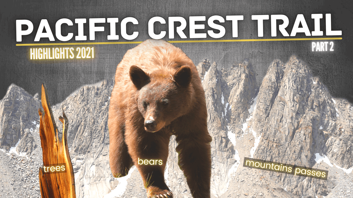 chrisontour84's tweet photo. The second part of my Pacific Crest Trail highlights showcases my favourite mountain passes, forests and bear encounters on the PCT. Enjoy! 🙃
📺https://t.co/w885mKkYBb

#pct #pacificcresttrail #usa #hiking #trekking #mountain #tree #bear #backbear https://t.co/LR6W2ugycQ