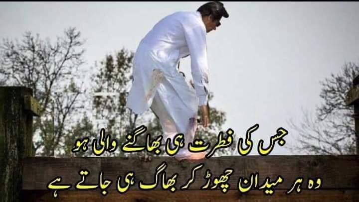 shams tweet media