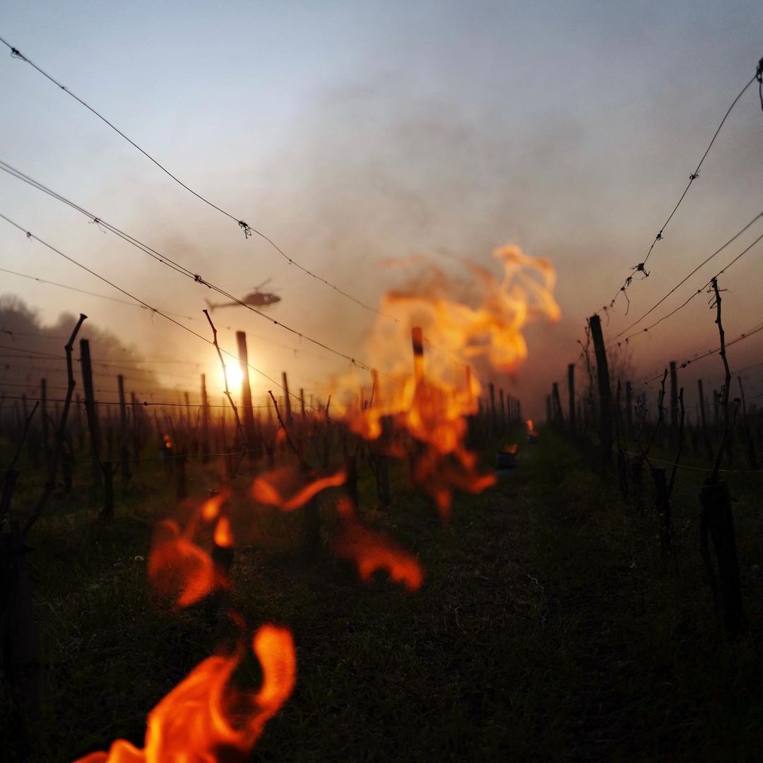saint_emilion's tweet photo. Un spectacle tristement beau...
Un énorme soutien à tous les viticulteurs, qui peinent à lutter contre cette terrible épreuve de gel🔥

📸 le talentueux travail de @aurelien_voldoire_photographe
(Instagram)
#saintemilion
#gironde
#aquitaine
#Gel2022 https://t.co/lO9prYAkBD