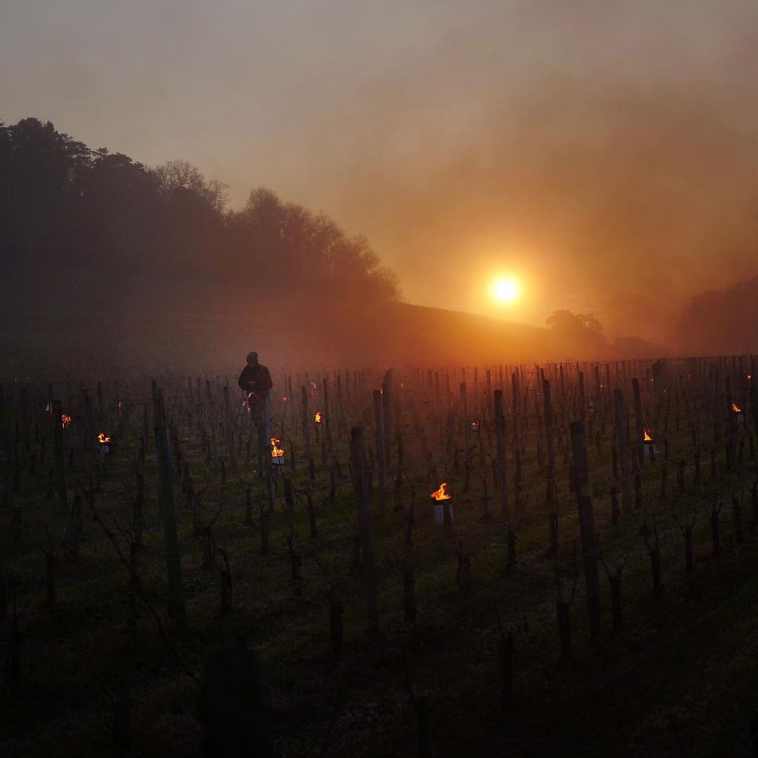 saint_emilion's tweet photo. Un spectacle tristement beau...
Un énorme soutien à tous les viticulteurs, qui peinent à lutter contre cette terrible épreuve de gel🔥

📸 le talentueux travail de @aurelien_voldoire_photographe
(Instagram)
#saintemilion
#gironde
#aquitaine
#Gel2022 https://t.co/lO9prYAkBD