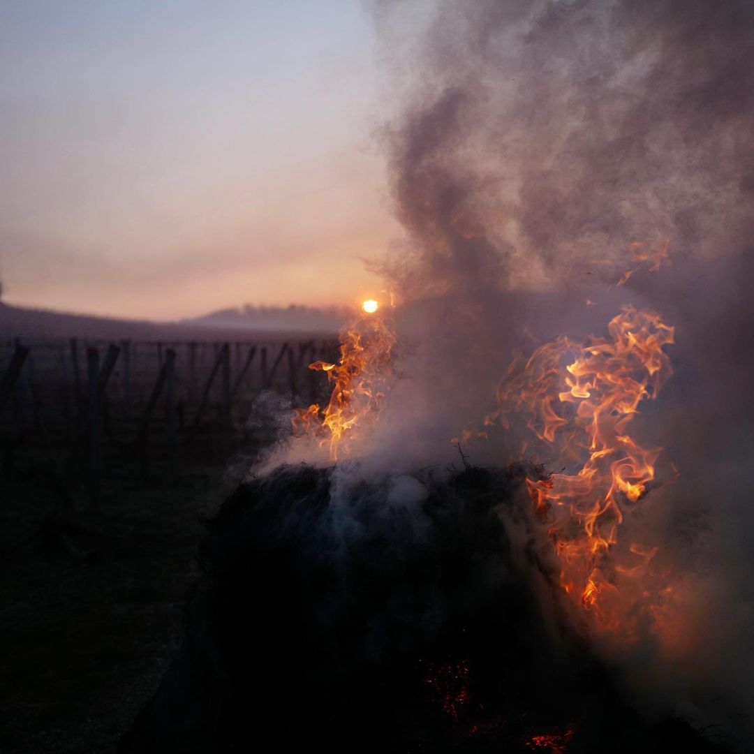 saint_emilion's tweet photo. Un spectacle tristement beau...
Un énorme soutien à tous les viticulteurs, qui peinent à lutter contre cette terrible épreuve de gel🔥

📸 le talentueux travail de @aurelien_voldoire_photographe
(Instagram)
#saintemilion
#gironde
#aquitaine
#Gel2022 https://t.co/lO9prYAkBD