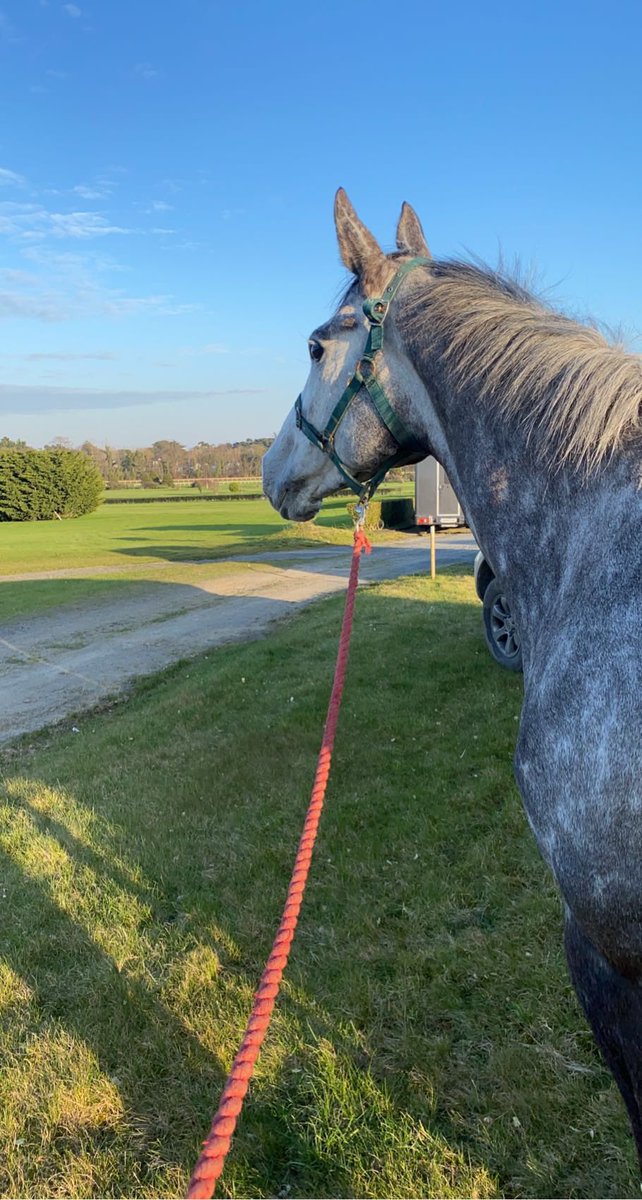 She was part of the family. Our superstar. Amazing memories at home and at the track.                               R.I.P. Champagne Beauty ✨❤️✨