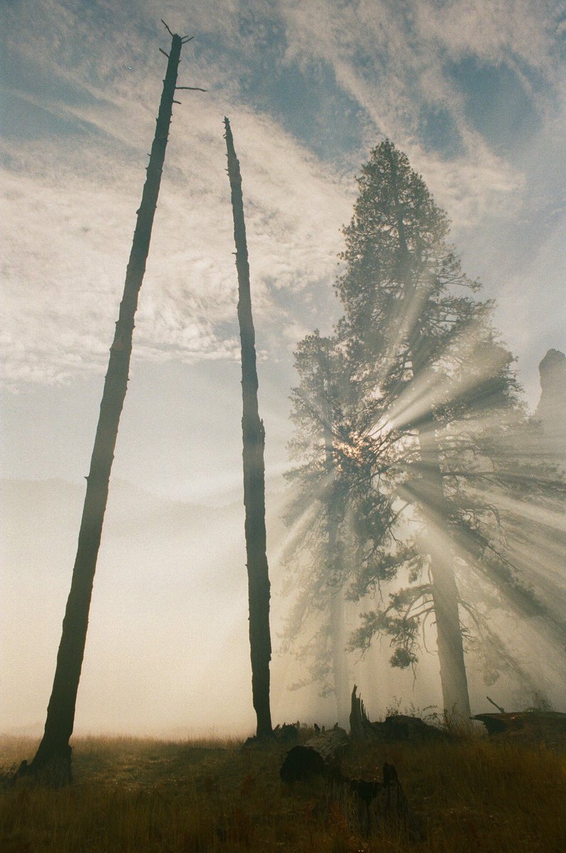 JAMESPIPERPHOTO's tweet photo. film photos from yosemite https://t.co/kxE3mUiR8Y