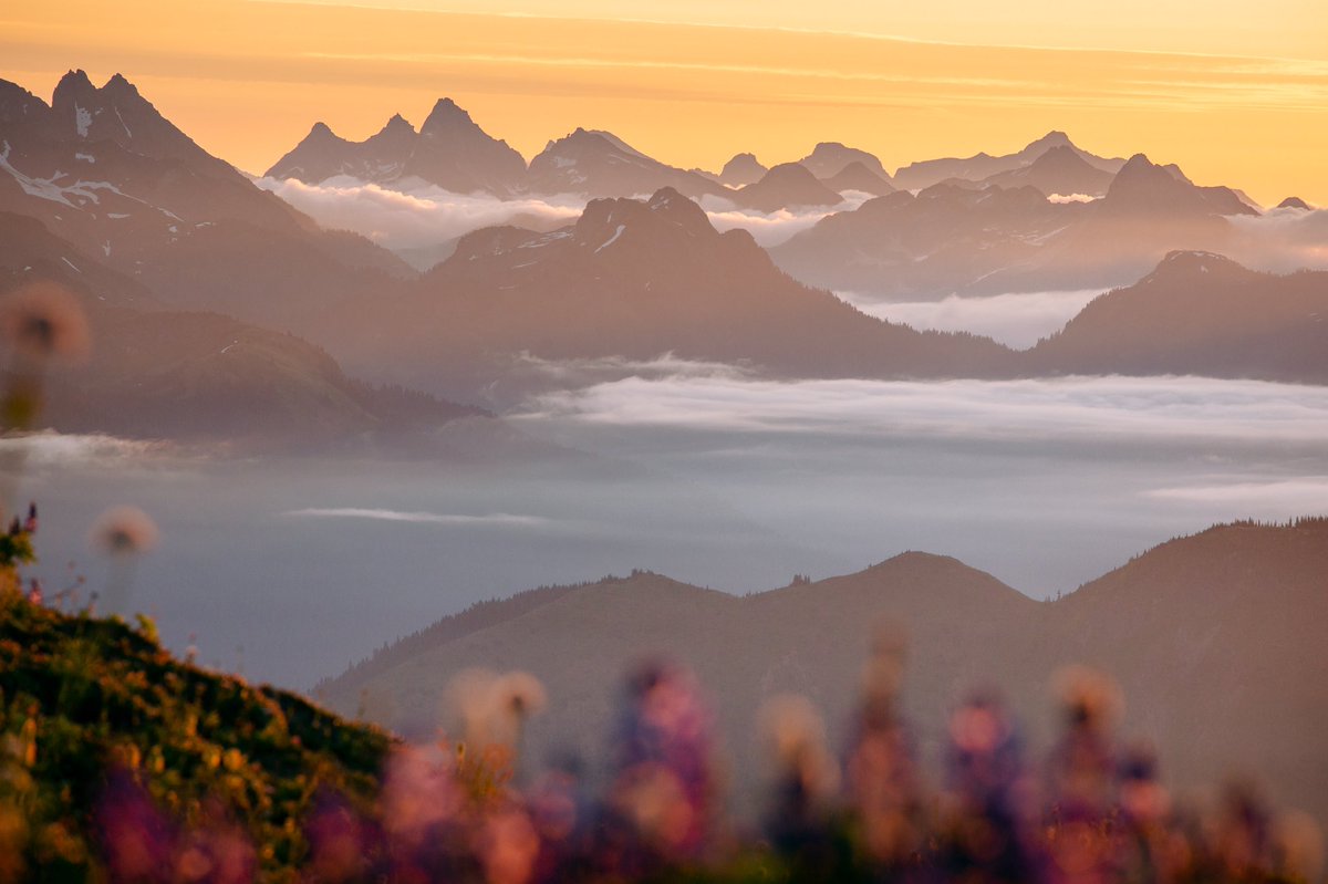 ElliotHawkey's tweet image. Golden moments in the North Cascades