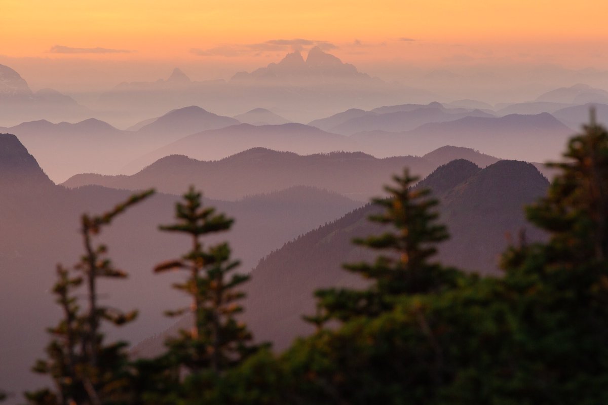 ElliotHawkey's tweet image. Golden moments in the North Cascades