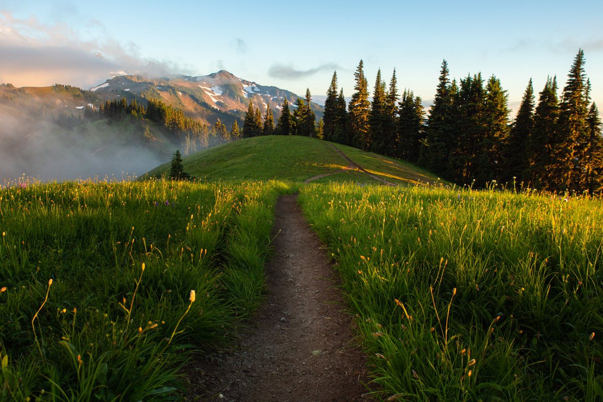 ElliotHawkey's tweet image. Golden moments in the North Cascades