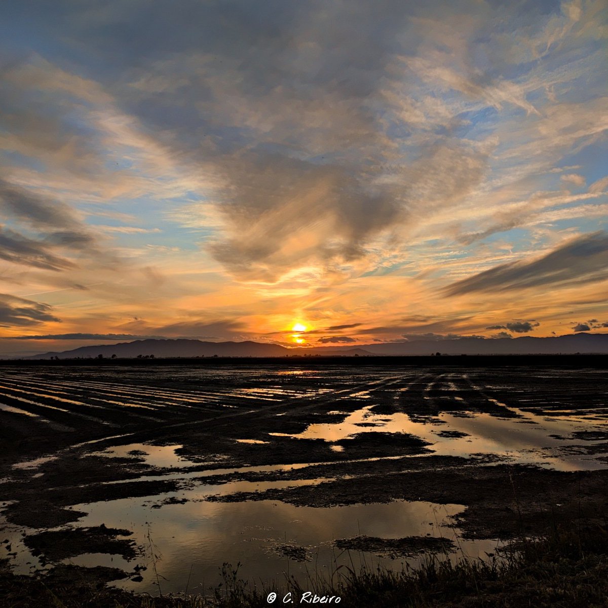 Rifocr's tweet photo. #deltebre #deltadelebre #descobreixcatalunya #terresdelebre  #canal21ebre #somebre #baixebre #celscatalans #catalunyaexperience #clikcat #catalunyasud #ebreactiu #elmeupetit_pais #gaudeix_cat #queboniceseldelta #reservadelabiosfera #total_tarragona #total_catalunya https://t.co/ngmkFG6hVW