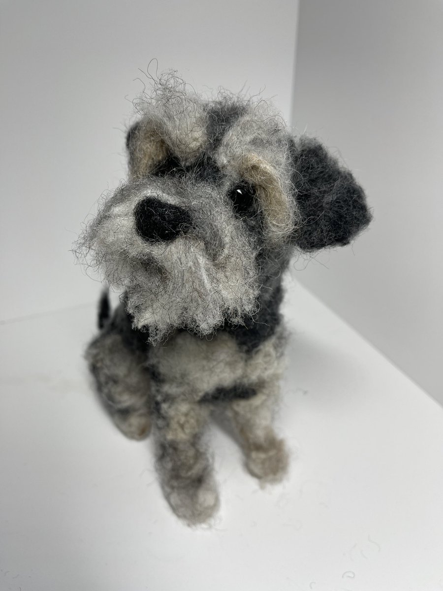 ffinlaysonart's tweet photo. Happy sunday! A wee needle felted Schnauzer this evening - I think he looks very cheeky! #CelebsforSmallBiz https://t.co/uMMLyoWau9