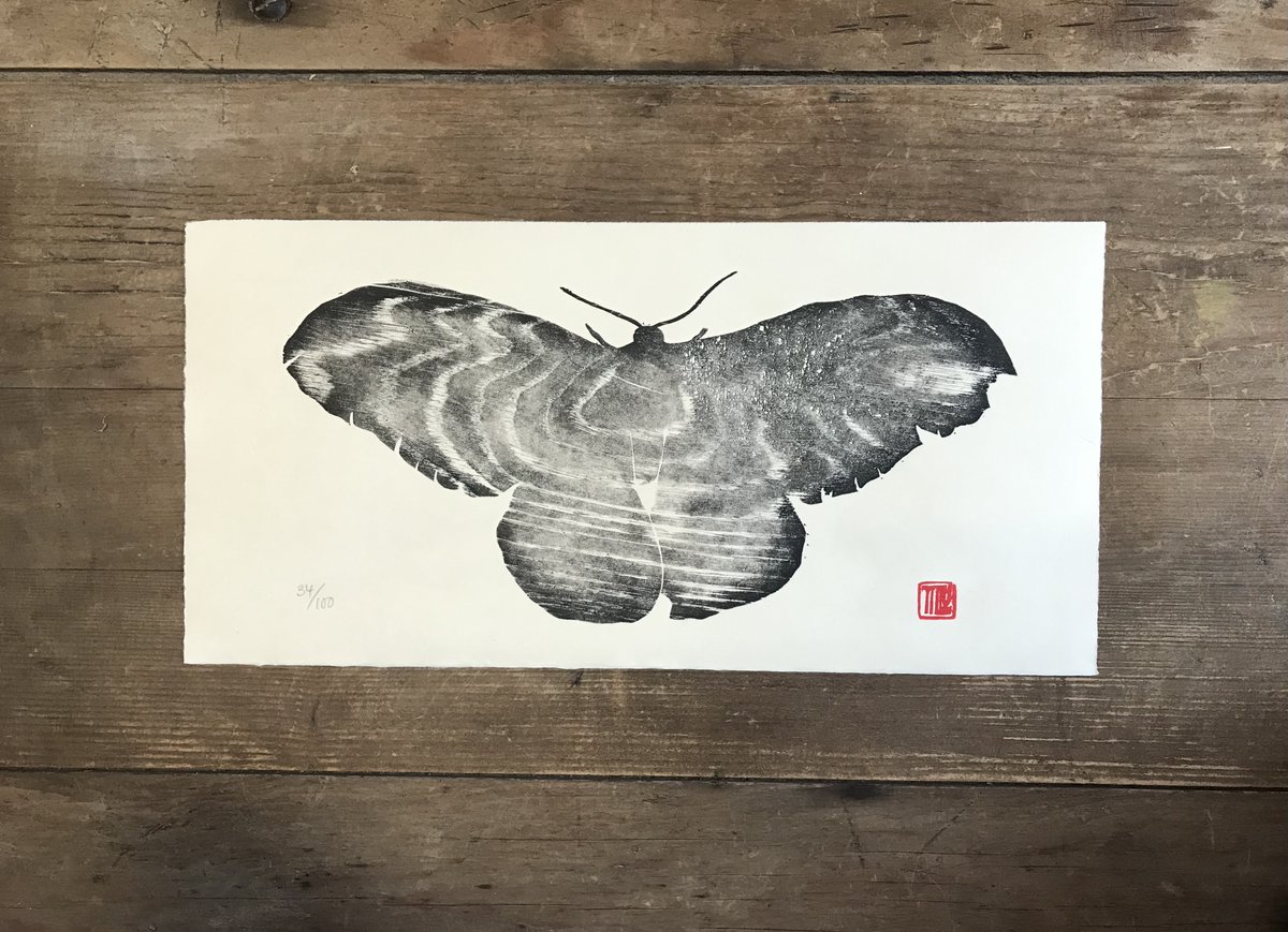 Tillyprint's tweet photo. Moth Woodcut #printmaking #handmadehour https://t.co/wGEwYjvwJO