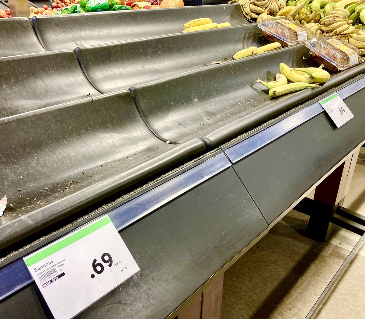 towhey's tweet photo. HAS THE LONG forecast #Bananageddon finally struck home?
Or have I just been unusually unlucky in my #grocery shopping over the last week?
Supply chain issue? Or #Banana #virus?
#Bananademic #food #shopping https://t.co/ld7gd7TBBM