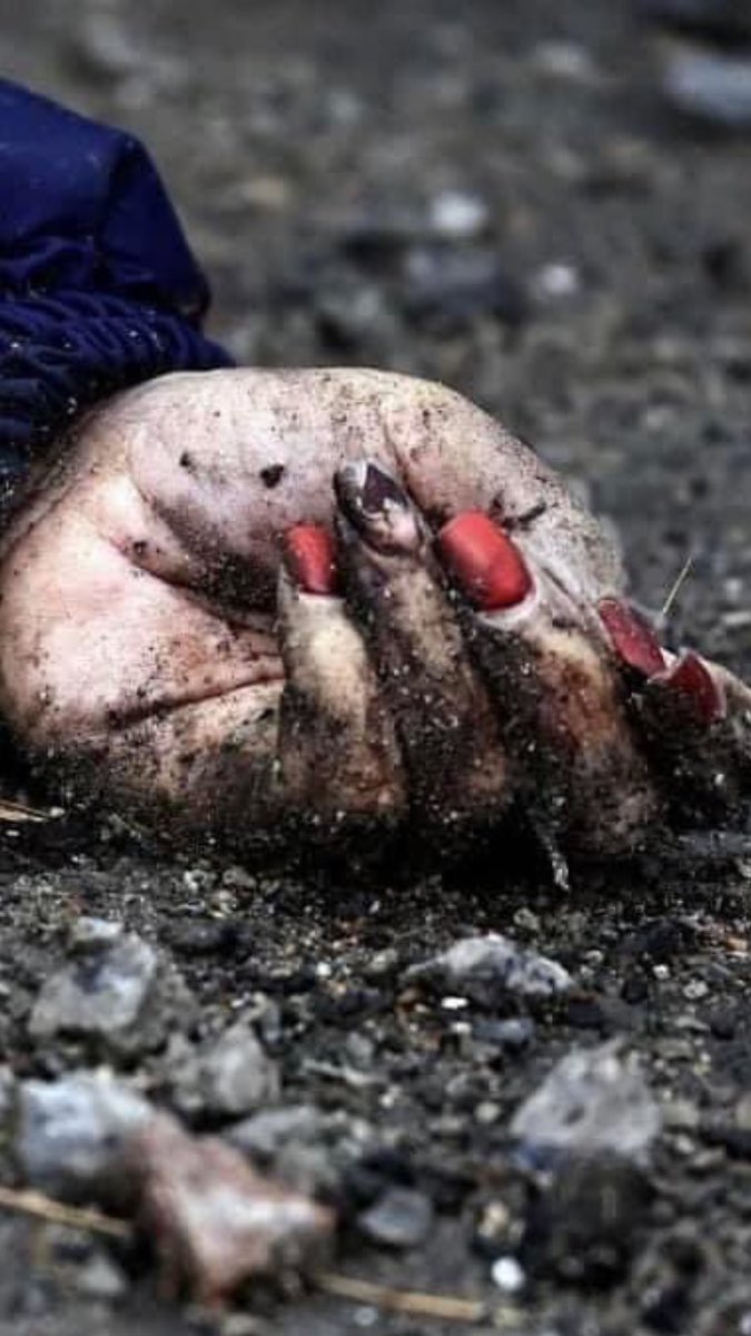 Russian troops killed hundreds of civilians in the towns they briefly occupied. Then hid explosive devices in dead bodies to kill anyone who touches them. Tell your politicians that you do not want to buy Russian oil and gas, because by doing so you are enabling this carnage.