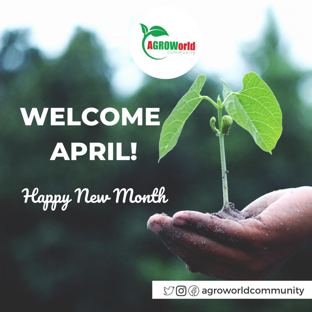 AgroworldC's tweet photo. Happy new month from all of us @AgroworldC https://t.co/hD0in8qk9p