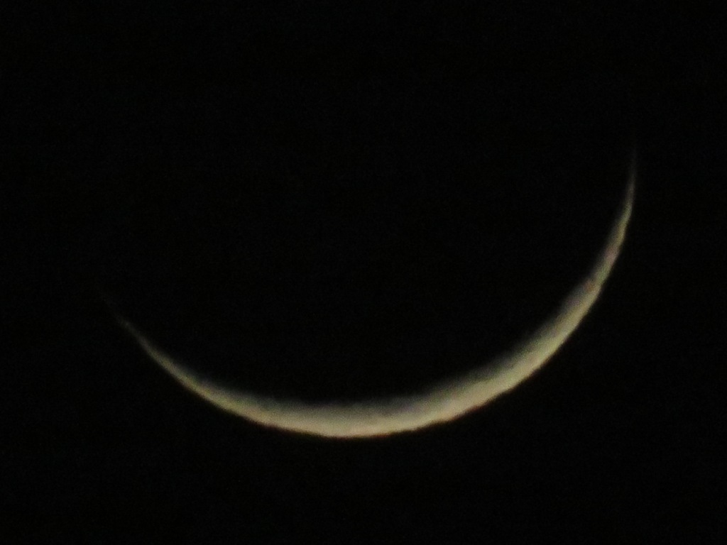 trhonymohamed's tweet photo. Crescent moon illuminated only by 6% over Tripoli,Libya.
Sunday ,April 3rd, 2022 at 9:03 PM.
#Moon
#Luna
#NasaRocket
#ObservetheMoon
#MoonHour
@MoonHour321
@TheStormHour
@ThePhotoHour
@NASAMoon
#Astronomy
#Astrophotography
#canonphotography https://t.co/f0XOYIa9RV