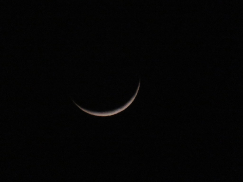 trhonymohamed's tweet photo. Crescent moon illuminated only by 6% over Tripoli,Libya.
Sunday ,April 3rd, 2022 at 9:03 PM.
#Moon
#Luna
#NasaRocket
#ObservetheMoon
#MoonHour
@MoonHour321
@TheStormHour
@ThePhotoHour
@NASAMoon
#Astronomy
#Astrophotography
#canonphotography https://t.co/f0XOYIa9RV