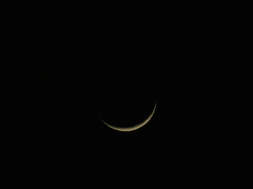 trhonymohamed's tweet photo. Crescent moon illuminated only by 6% over Tripoli,Libya.
Sunday ,April 3rd, 2022 at 9:03 PM.
#Moon
#Luna
#NasaRocket
#ObservetheMoon
#MoonHour
@MoonHour321
@TheStormHour
@ThePhotoHour
@NASAMoon
#Astronomy
#Astrophotography
#canonphotography https://t.co/f0XOYIa9RV