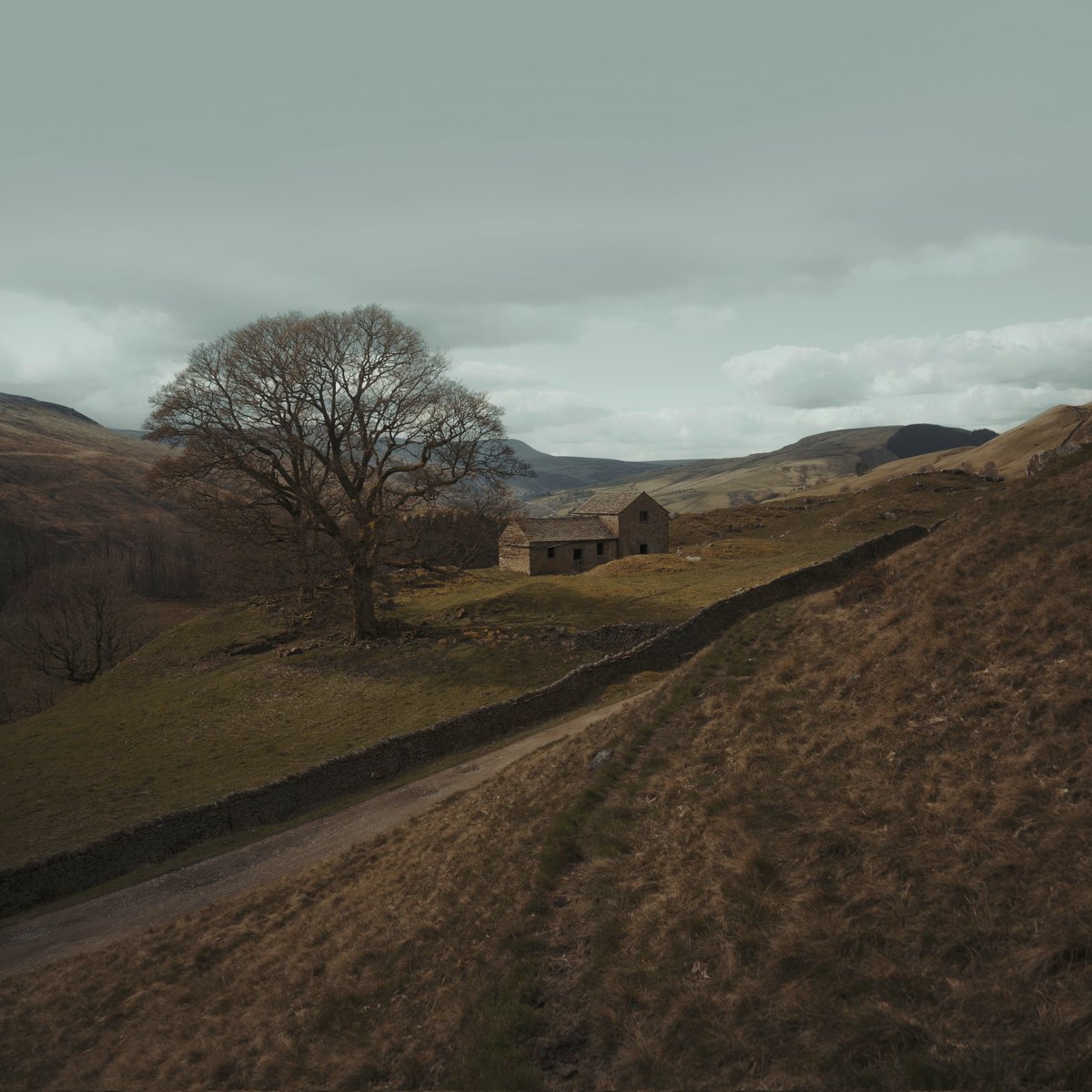 GN all. Anyone up for converting this beauty? 🤣👌🏼
#peakdistrict #NFTCommunity #NFTphotography #nft