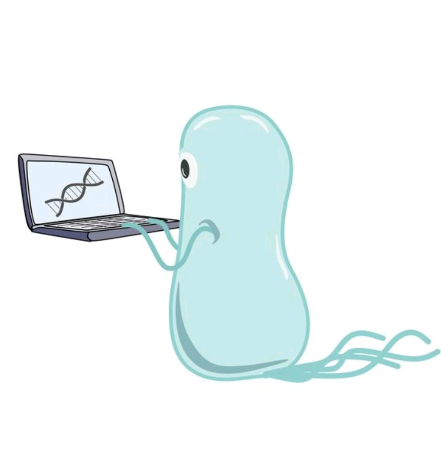 Josie Elliott (@ellijos) on Twitter photo If you enjoy experimental evolution, CRISPR and horizontal gene transfer (and bacterial cartoons) come along and watch me present at <a href="/MicrobioSoc/">Microbiology Society</a> Conference at 10:30 in the Genome dynamics in microbial defence (CRISPR) and invasion (HGT) tomorrow Hall 2B
#Microbio22 If you enjoy experimental evolution, CRISPR and horizontal gene transfer (and bacterial cartoons) come along and watch me present at <a href="/MicrobioSoc/">Microbiology Society</a> Conference at 10:30 in the Genome dynamics in microbial defence (CRISPR) and invasion (HGT) tomorrow Hall 2B
#Microbio22