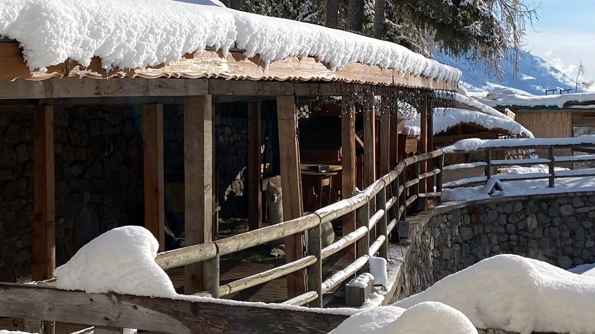 PedrettiFly's tweet photo. Passo del tonale | North Italy still have snow https://t.co/izX5CiXLRx