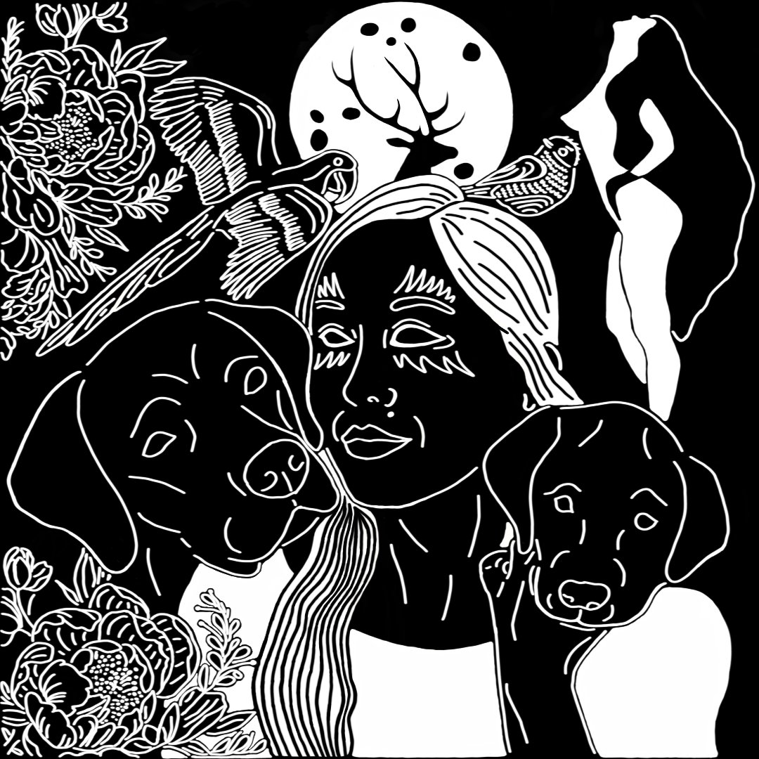 Pot Luck Labrador tweet media