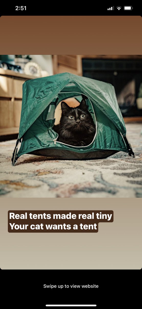 schmorgg's tweet photo. I was just so aggressively/successfully targeted with this Instagram ad. If #lilRon wants a tent then #lilRon is getting a tent. Fastest in-app purchase Iโve ever made. https://t.co/l86pJMbXqA