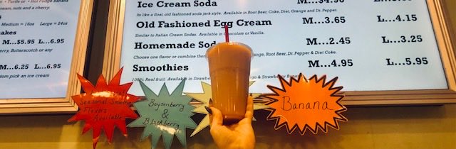Mike’s Ice Cream has something for everyone.   Come try any of our vegan smoothies.  They are all no sugar added, made with real fruit, fat free, no preservatives and no artificial flavors.  Plus, they are delicious!!  #vegan #nashville #icecream #healthy