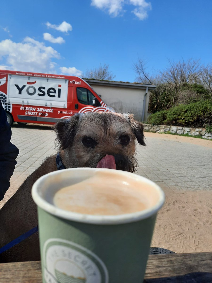 Gillian53393501's tweet image. Beautiful beach morning with Bryn @IsobelDay18 #swanseabay #hiddenkitchen