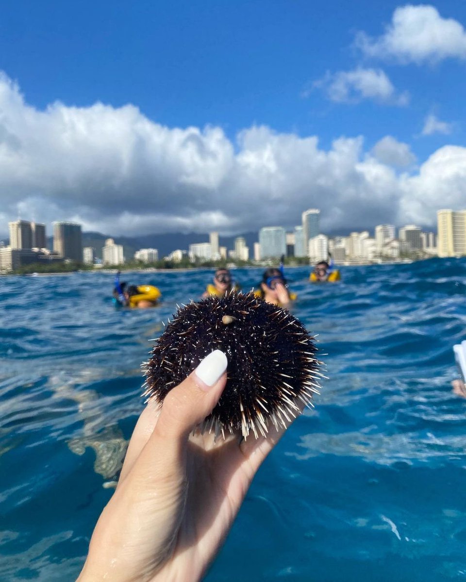 CoyclG's tweet photo. Hawaii's beaches#Hawaii#Beach #Vacation https://t.co/MPJdUbypcu