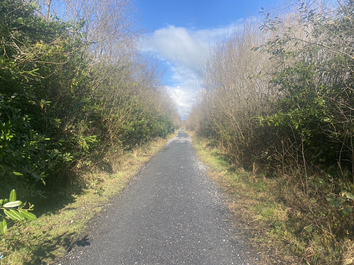 Ronan Gargan (@ronangnews) on Twitter photo Delighted that 1900 euros was raised for the #ClimbwithCharlie event yesterday at Girley Bog in Meath. It was great to see so many turning out and hearing from them all about how inspirational <a href="/charliebird49/">Charlie Bird</a> and <a href="/PhelanVicky/">Vicky Phelan</a> got them out and walking the 6km loop. <a href="/climb_charlie/">ClimbWithCharlie</a> Delighted that 1900 euros was raised for the #ClimbwithCharlie event yesterday at Girley Bog in Meath. It was great to see so many turning out and hearing from them all about how inspirational <a href="/charliebird49/">Charlie Bird</a> and <a href="/PhelanVicky/">Vicky Phelan</a> got them out and walking the 6km loop. <a href="/climb_charlie/">ClimbWithCharlie</a>