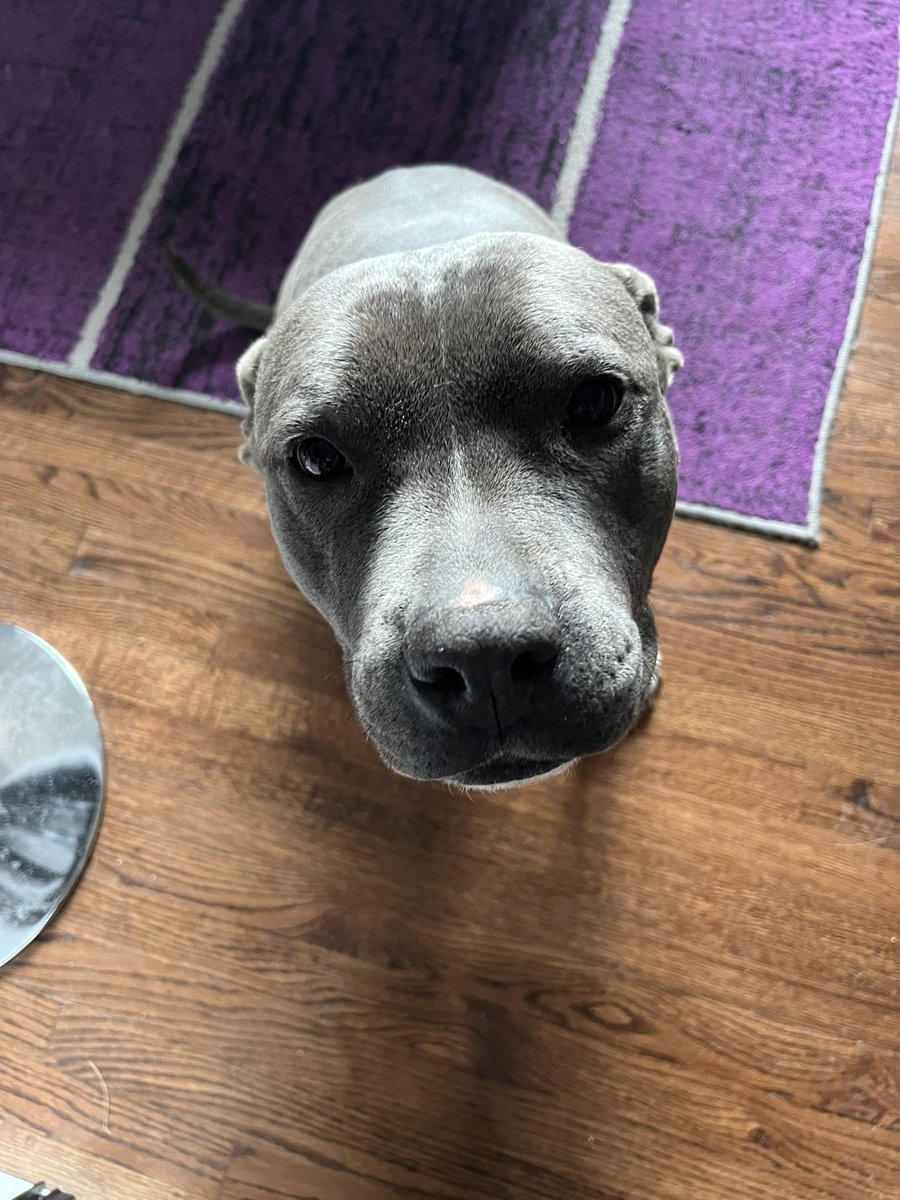 RaFreaky01's tweet image. Definitely my silliest girl 😂 goes from beauty to full blown weirdo in seconds