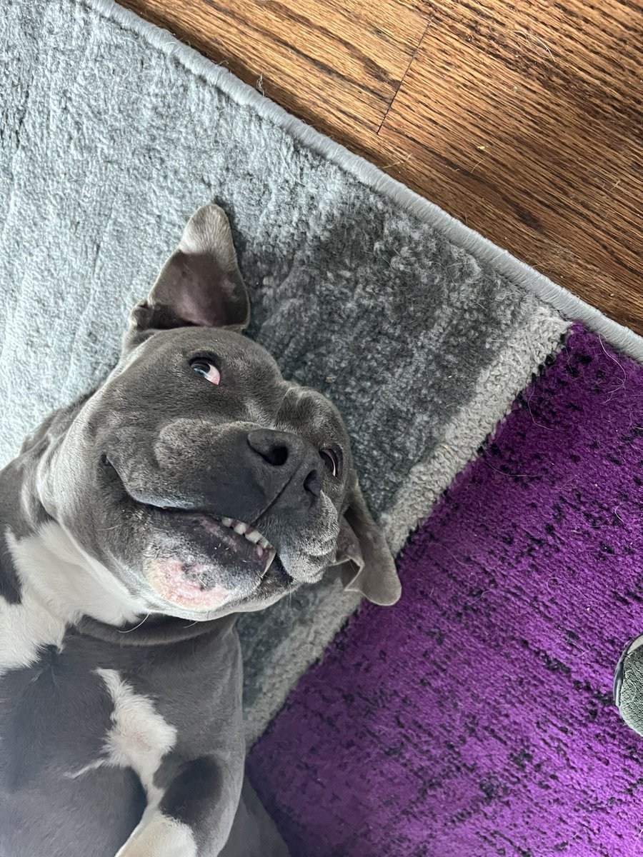 RaFreaky01's tweet image. Definitely my silliest girl 😂 goes from beauty to full blown weirdo in seconds