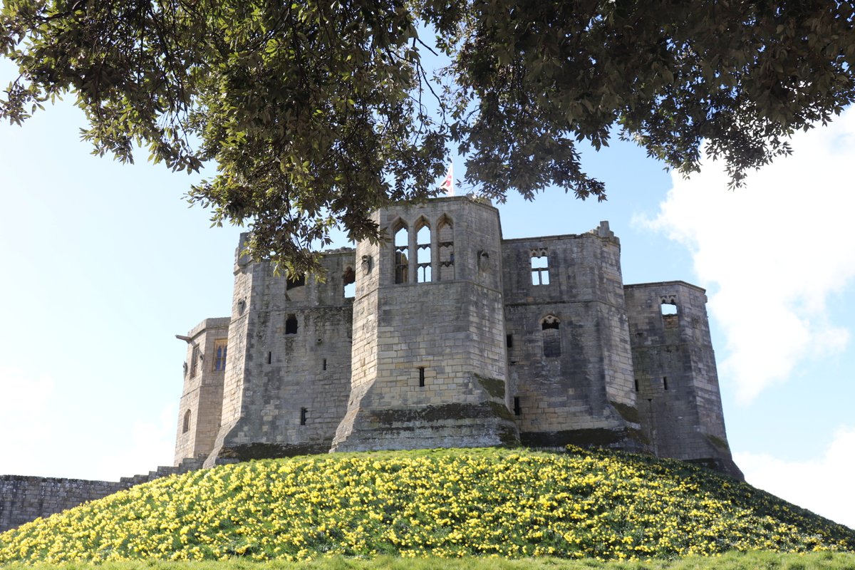 Warkworth_Amble's tweet photo. #Spring in #Warkworth #Northumberland 
Is there a better sight than the #daffodils at #WarkworthCastle?  We don't think so  😀 https://t.co/T3vXboGjf5