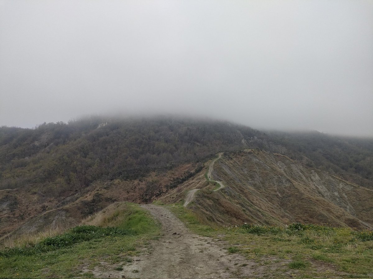 mabeno7's tweet photo. Trail del Rubicone 12km #247running #iocorroqui #ukrunchat https://t.co/A6vNGcoz5w