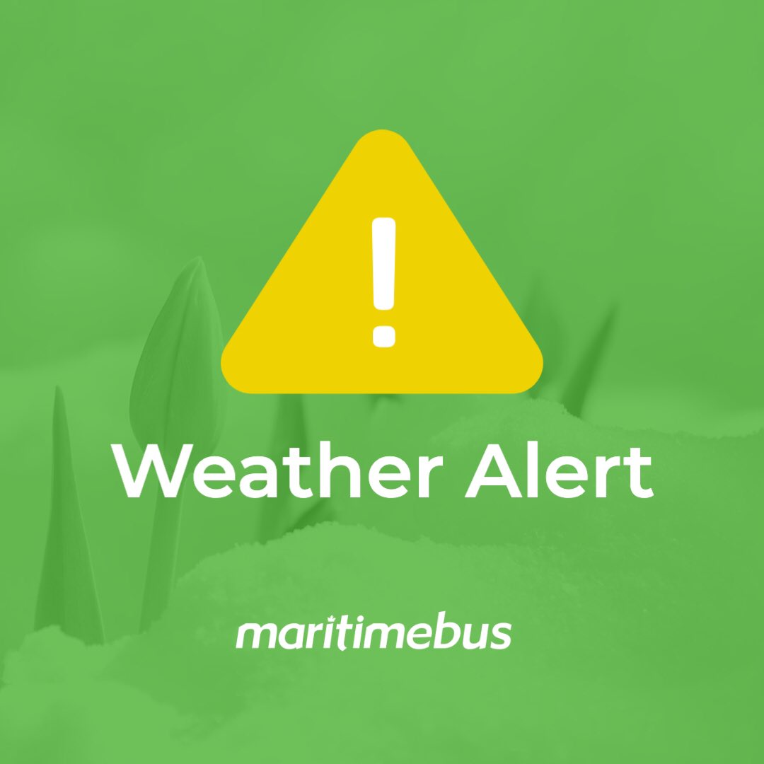 Maritime Bus tweet media