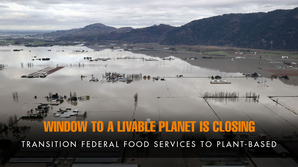Dr. Kathleen Kevany (@kathleenkevany) on Twitter photo “Rapidly closing window to secure a liveable future on the planet” #IPCC co-chair Portner. Transition federal food services to plant-based by Dec 2022. #EarthDay
<a href="/s_guilbeault/">Steven Guilbeault</a> @Carolyn_Bennett <a href="/jyduclos/">Jean-Yves Duclos</a> <a href="/JoyceMurray/">Joyce Murray</a> “Rapidly closing window to secure a liveable future on the planet” #IPCC co-chair Portner. Transition federal food services to plant-based by Dec 2022. #EarthDay
<a href="/s_guilbeault/">Steven Guilbeault</a> @Carolyn_Bennett <a href="/jyduclos/">Jean-Yves Duclos</a> <a href="/JoyceMurray/">Joyce Murray</a>