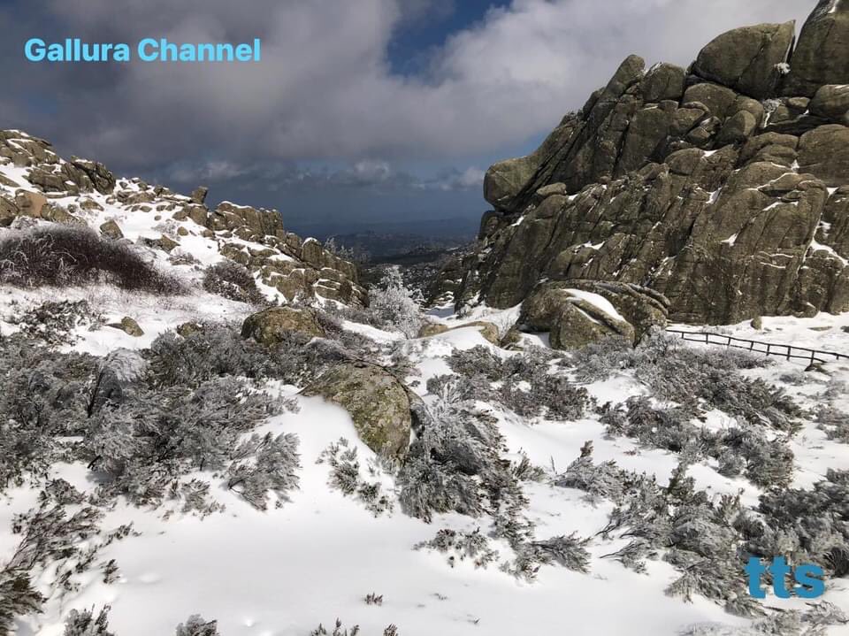 GalluraC's tweet photo. * LA SARDEGNA E LA NEVICATA PRIMAVERILE *
La Bellezza del paesaggio innevato in aprile in una serie di scatti che raccontano la nevicata primaverile che ha sorpreso il territorio, bianco Limbara. #limbara #neve #aprile #primavera #tts #gallurachannel #sardegna #snow ⬇️ https://t.co/m4ylYdNW5q