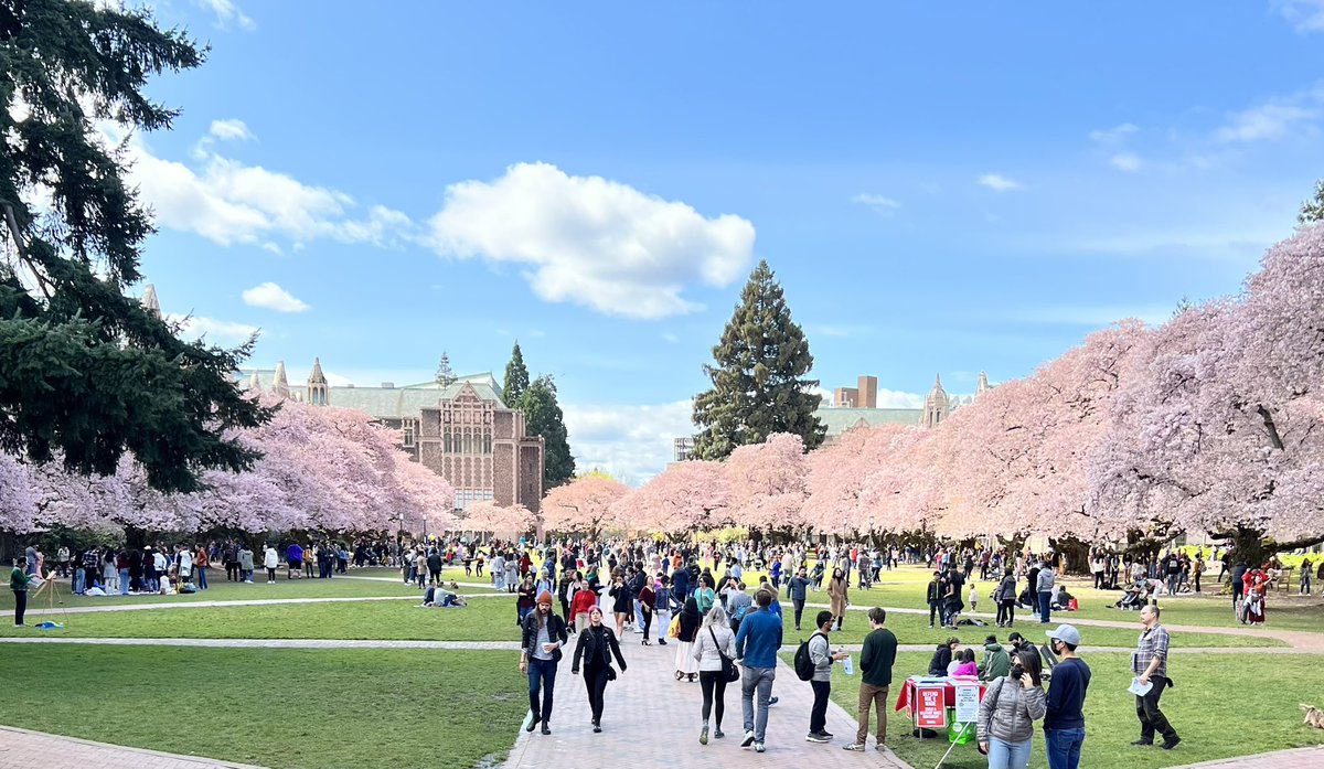 VernaGoodloe's tweet photo. It was a beautiful day to go see the #cherryblossoms at the #UWquad https://t.co/sCNJcrXFCE