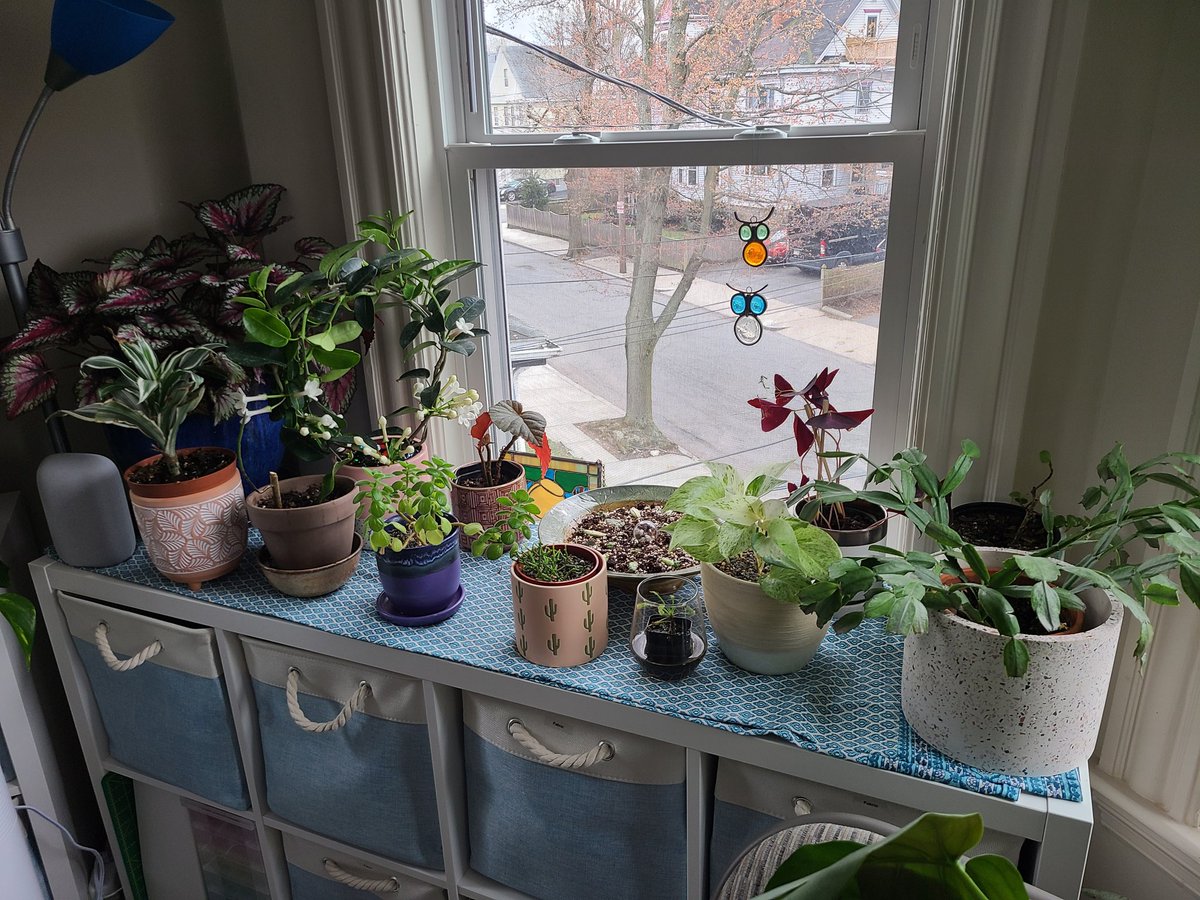 Diamondsoled tweet media