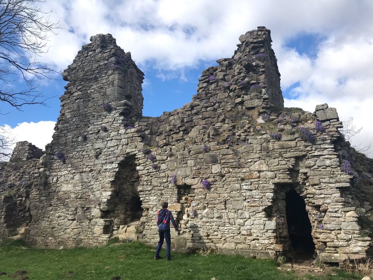 The #PurpleSaxifrage trend will soon be “so last week”...

Our northern recommendations are:

Wood Anemones - more expected
Danish Scurvy Grass - encouraged by salty roads (mind the traffic)
Blue Moor Grass - no one‘s expecting that
Or accessorising your flowers - with a castle?