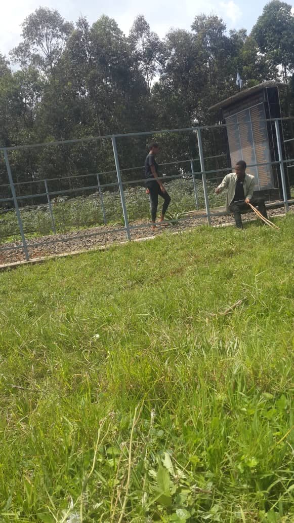 MunyentwariAle2's tweet photo. #AERGGAERGWeek dufatanyije nuruhongore twakoze isuku k'Urwibutso rwa Jenoside yakorewe Abatutsi rwa Gihundwe Rusizi district
#Ntimuzazimatwarasigaye https://t.co/UsXodnh3lt