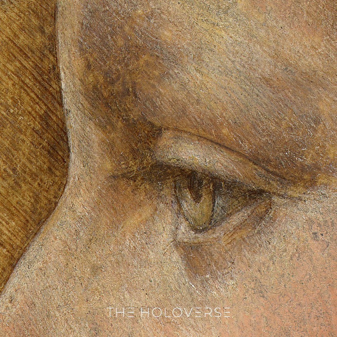 holoNFT's tweet photo. More details than ever. #nft #holonft #theholoverse #leonardodavinci https://t.co/NlluMLoZa2