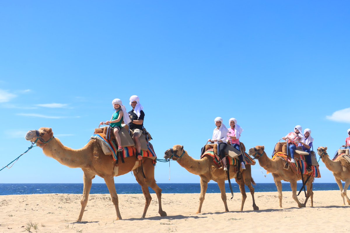SStrydhorst's tweet image. According to @SheriStrydhorst , Jefferson (the dude on the left) is a better kisser than me 🤷🏻‍♂️. 

Great camel riding experience in Mexico with #CaboAdventures!