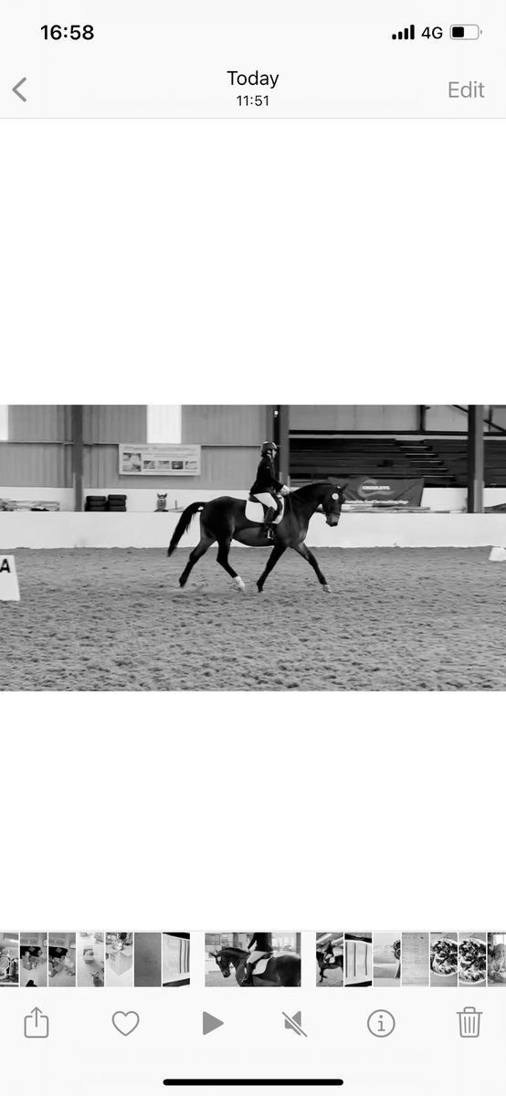 HAYLEY WARDLE 💙 tweet media