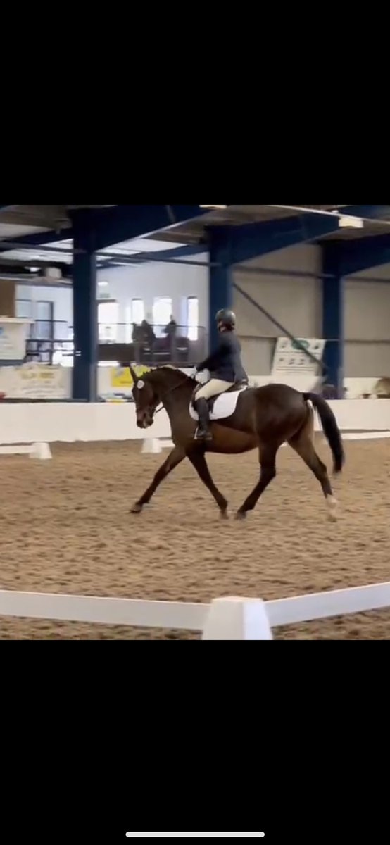 HAYLEY WARDLE 💙 tweet media