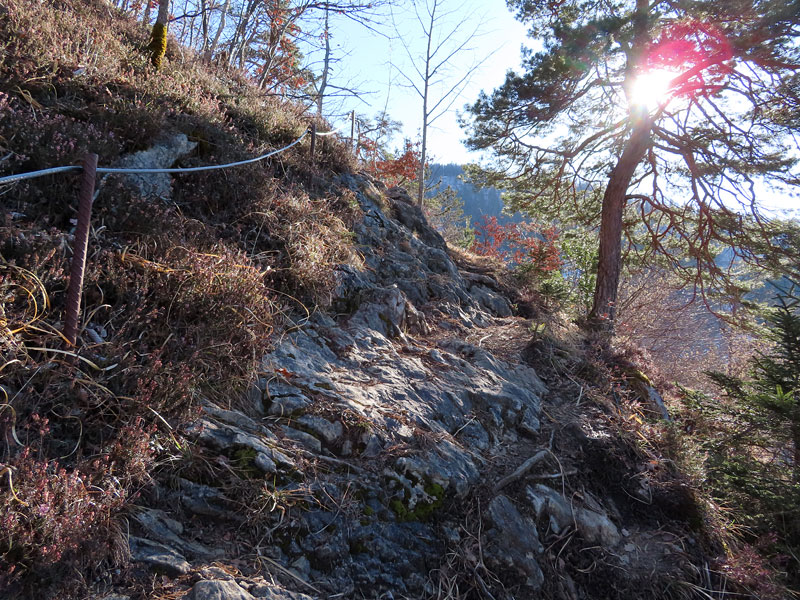 Downhillhoppers's tweet photo. Kurze Winterrunde in Götzis, Mitte Feb. 😉
#Wanderung #Wandern #Bergsteigen #Berg #Gipfel #Götzis #Kapf https://t.co/UUZdIerQw8 https://t.co/YgoQCNVnPI