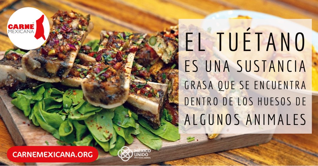 carnemexicana's tweet photo. El tuétano es una sustancia grasa que se encuentra dentro de los huesos de algunos animales #tuetano #chefgourmet #chefs #cocinamexicana https://t.co/LagpW3mjMj