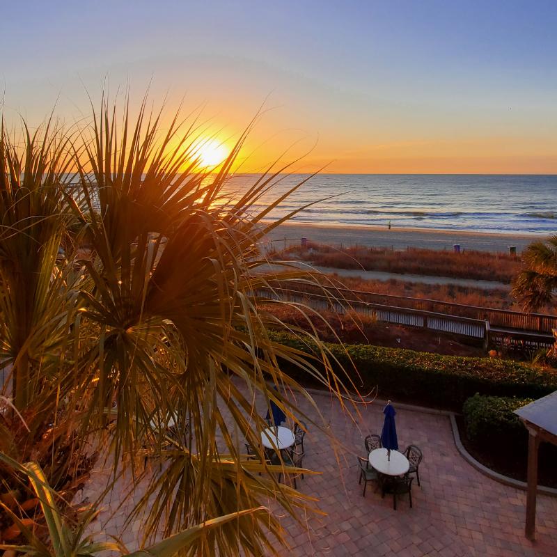DodgingBorders's tweet photo. I’m a finalist in Holiday Inn at the Pavilion’s Story Contest. Help me rally votes: https://t.co/QDQ4W8fZQX @holidaypavilion https://t.co/LlvcHwy0tR