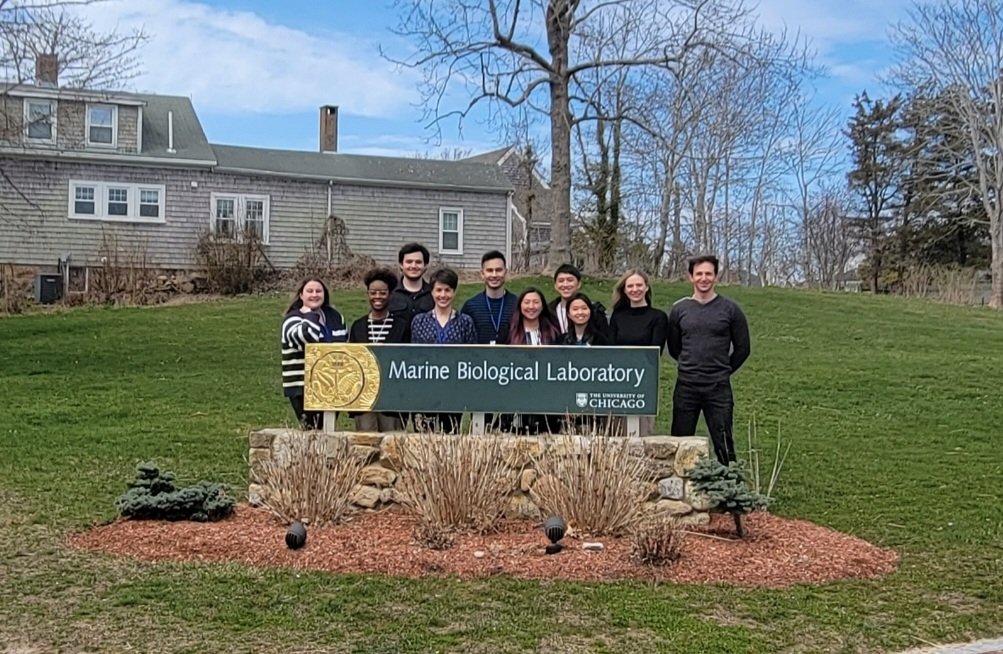 We had a great time in our first in-person meeting after such a long time! Happy to be part of this team of awesome scientists! #SimoesCostaLab #NESDB2022